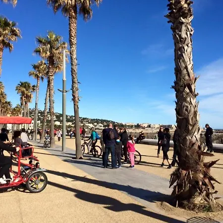 2 Pieces Avec Climatisation, Parking, Proche Plage, Commerces Et Activites - Classe 3 Etoiles - Fr-1-338-426 *
